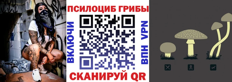 Псилоцибиновые грибы Psilocybe  Красавино 